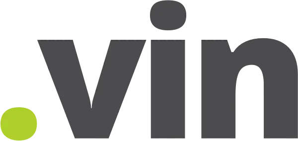 .VIN Domain Logo